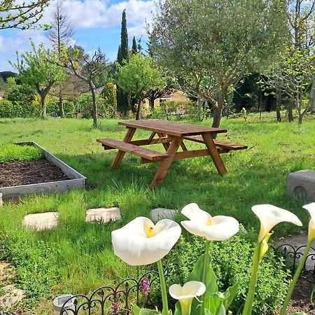My Quiet Place Near Carcassonne Bagian luar foto